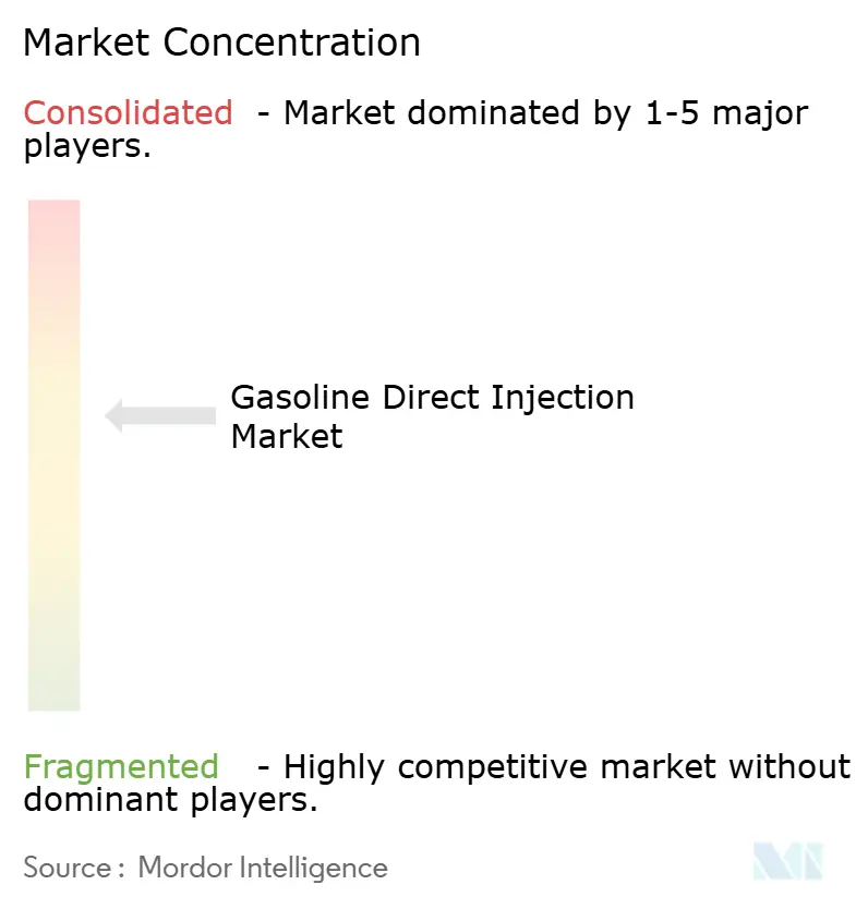 Gasoline Direct Injection Market Concentration