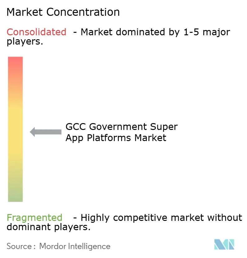 GCC Government Super App Platforms Marktkonzentration