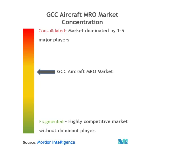 GCC Aircraft MRO Market Concentration