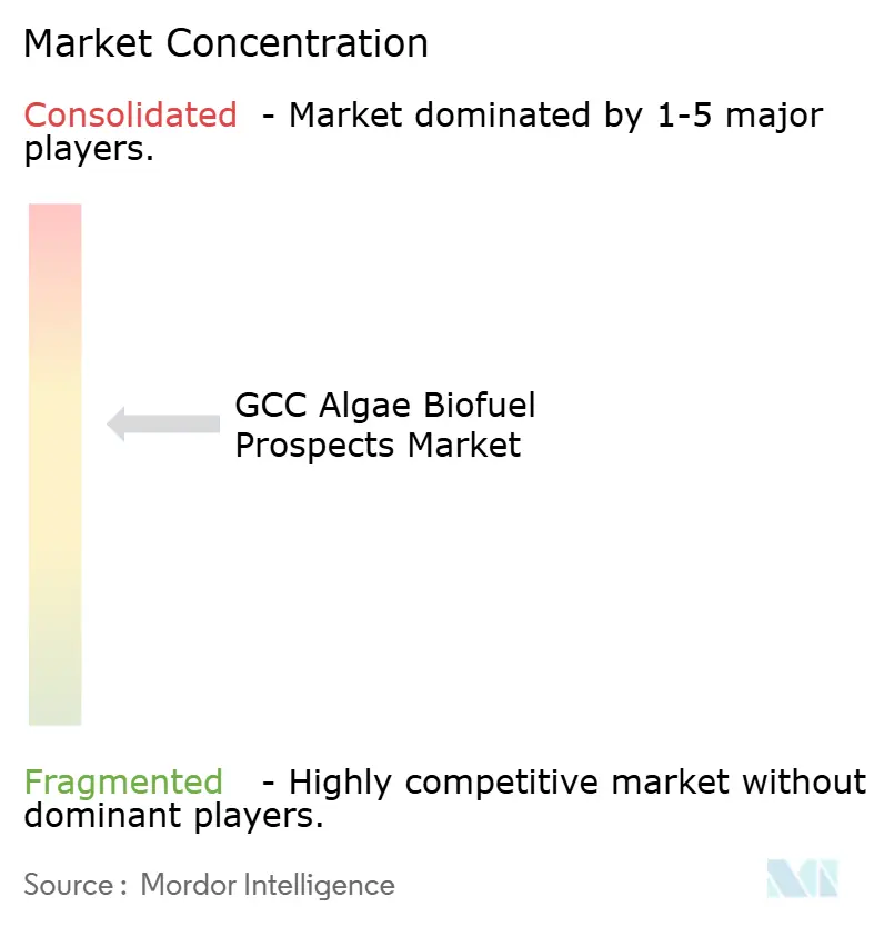 GCC Algae Biofuel Prospects Market Concentration