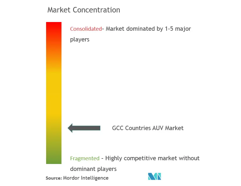 GCC AUV市場の集中度