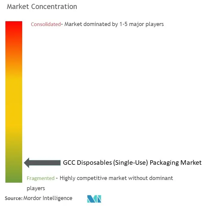 GCCの使い捨て（シングルユース）包装市場の集中度