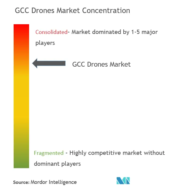 GCC Drones Market Concentration