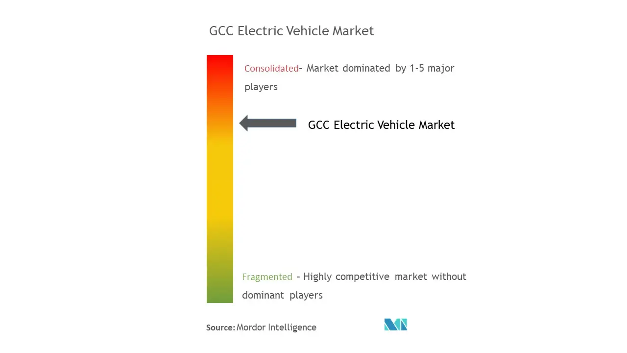 GCC 電気自動車市場集中度