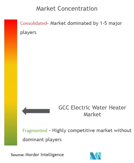 GCC Electric Water Heater Market Concentration