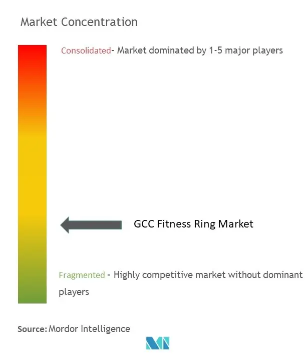 GCC Fitness Ring Market Concentration