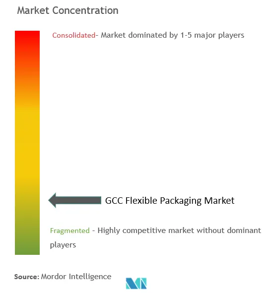 GCC (Gulf Cooperation Council) Flexible Packaging Market Concentration