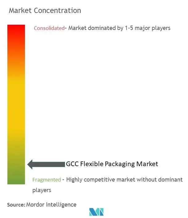 GCCフレキシブル包装市場の集中度