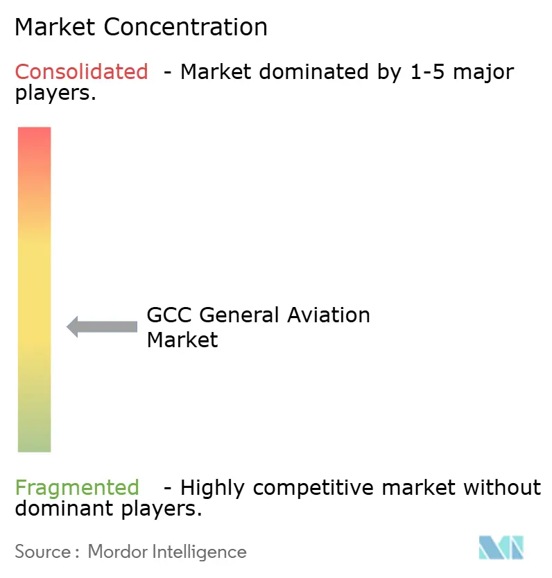 GCC General Aviation Market Concentration
