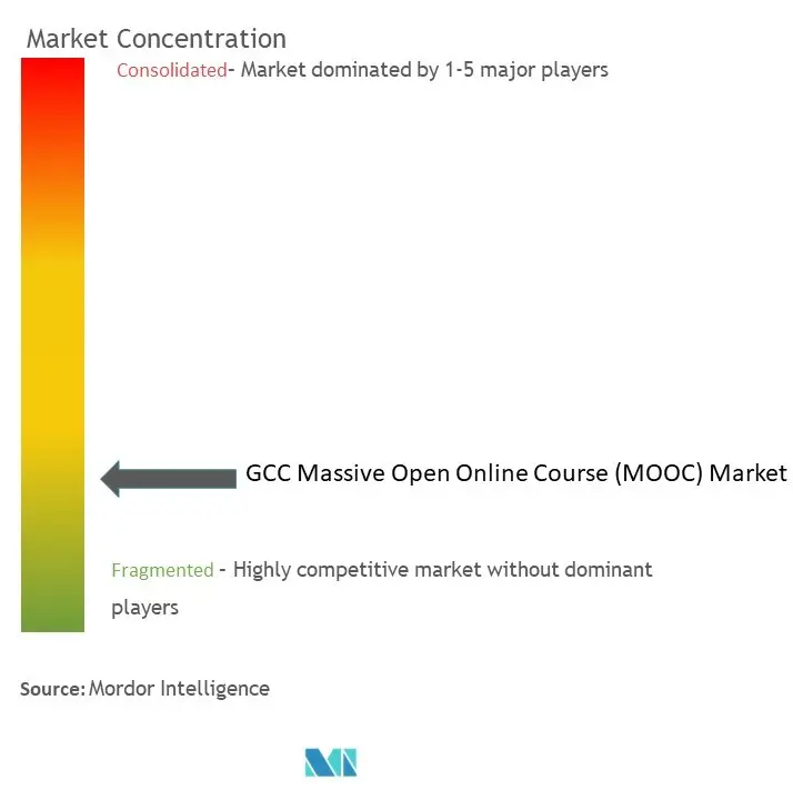 GCC 大规模开放在线课程 (MOOC) 市场集中度