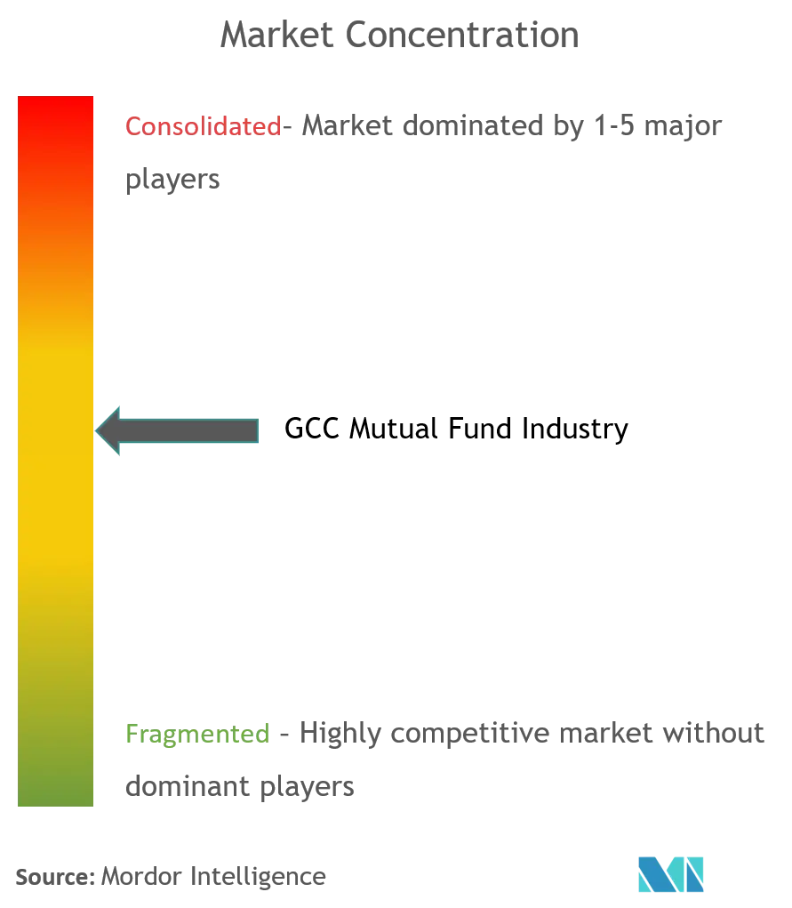 GCC Mutual Fund Market Concentrations