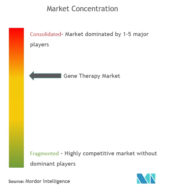 Gene Therapy Market - Market Concentration.PNG