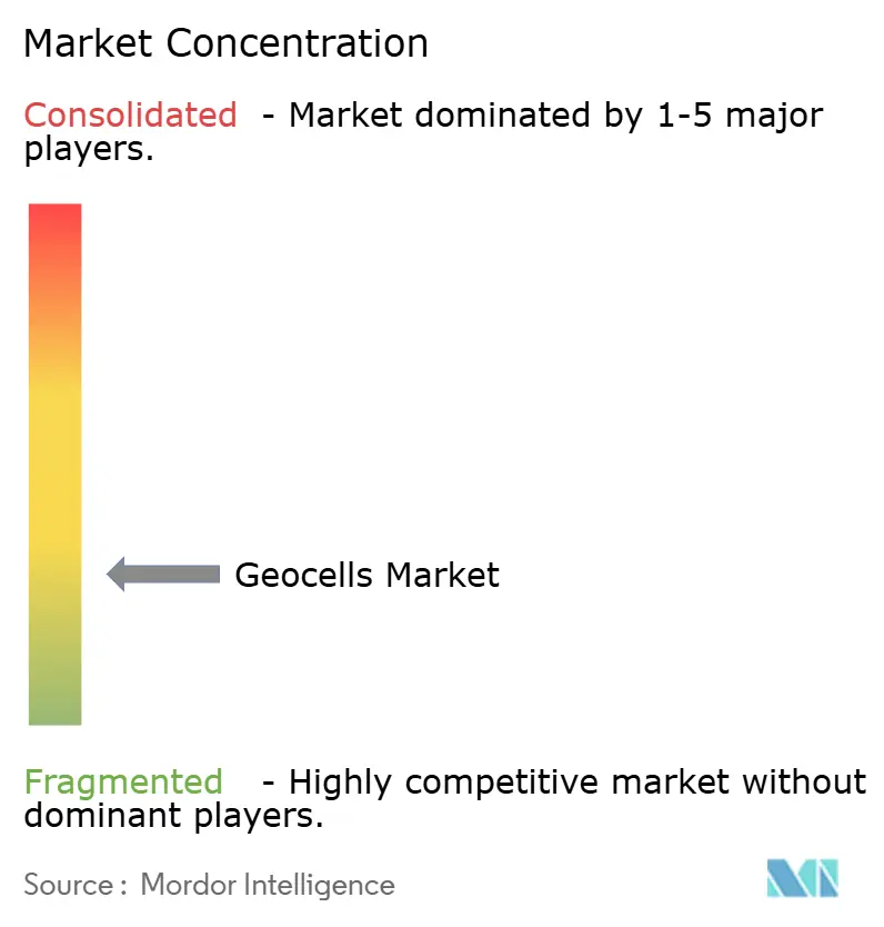 Geocells Market Concentration