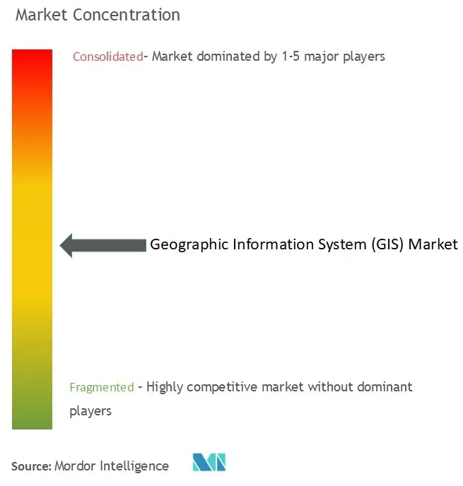 Geographic Information System (GIS) Market Concentration