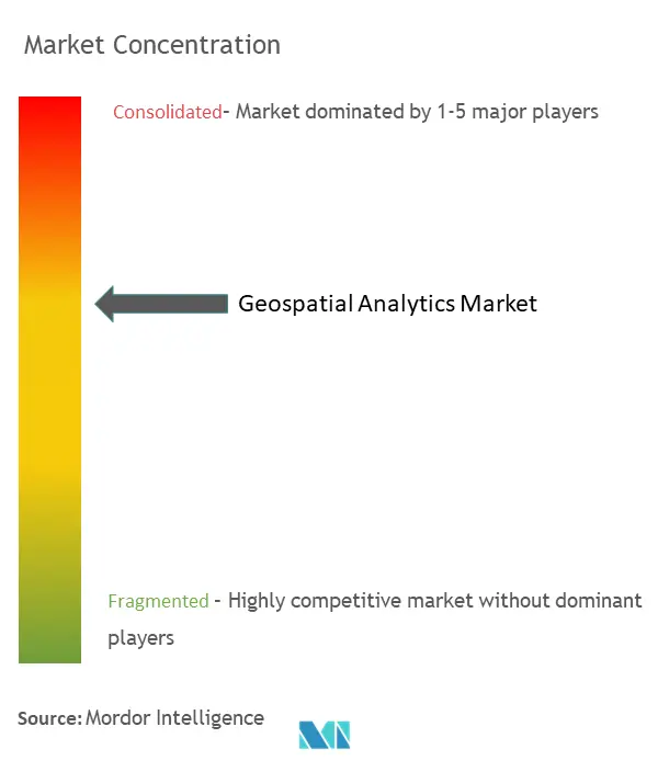 تركيز سوق التحليلات الجغرافية المكانية