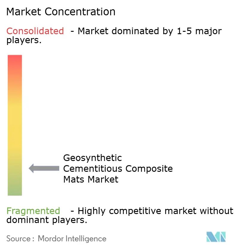 Geosynthetic Cementitious Composite Mats Market Concentration