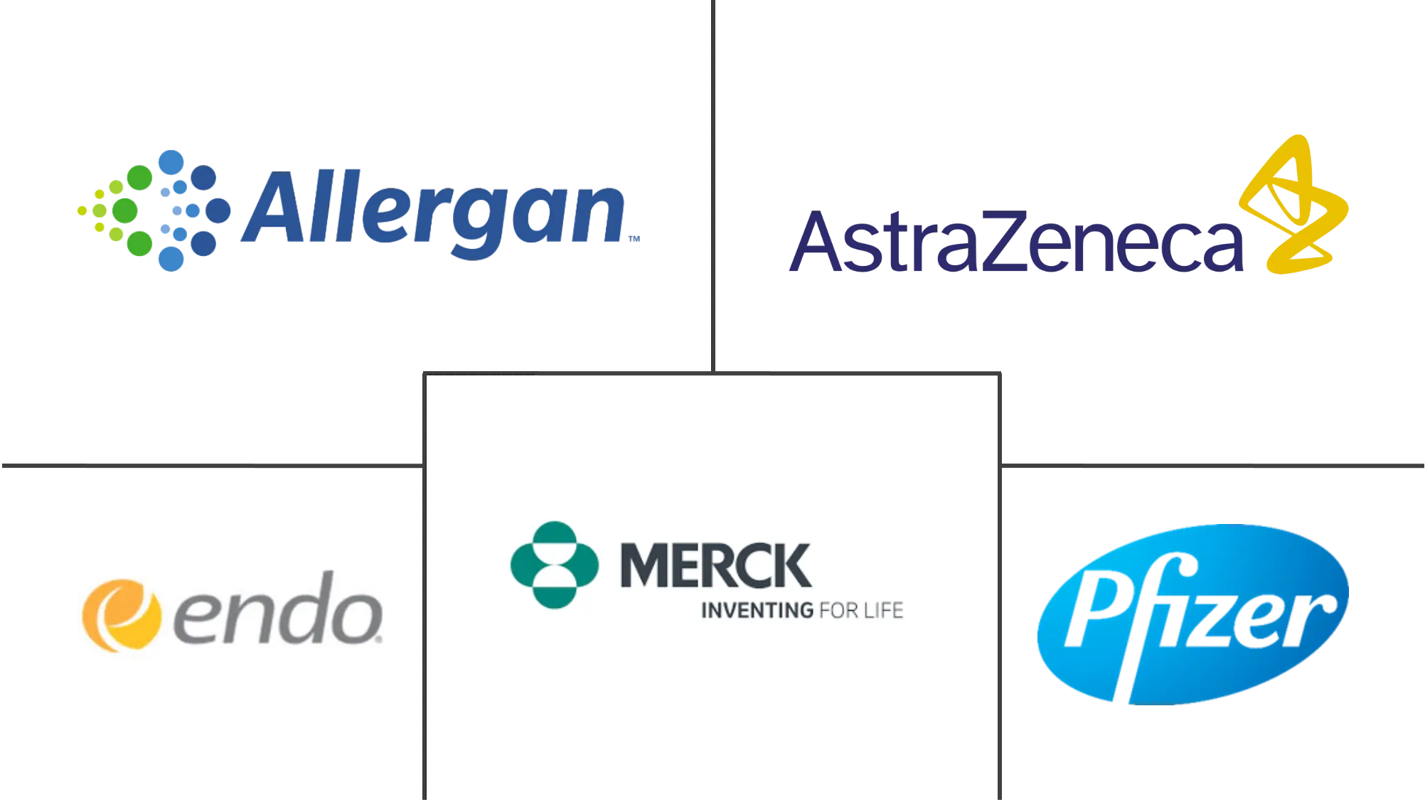 Geriatric Medicines Market Key Players