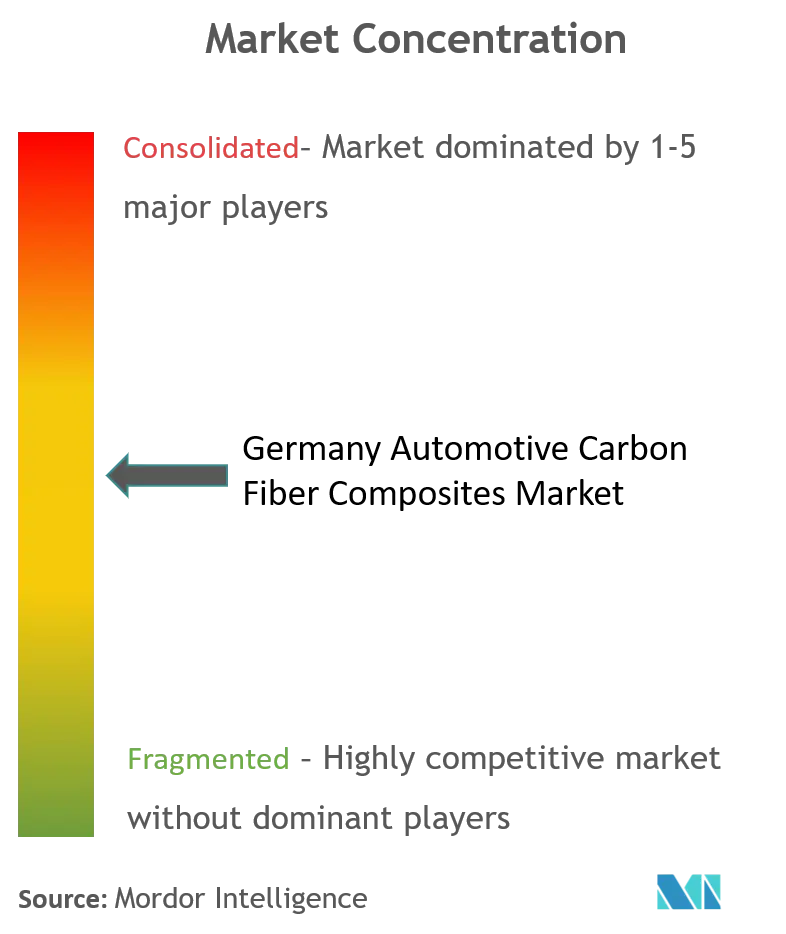 Germany Automotive Carbon Fiber Composites Market Concentration