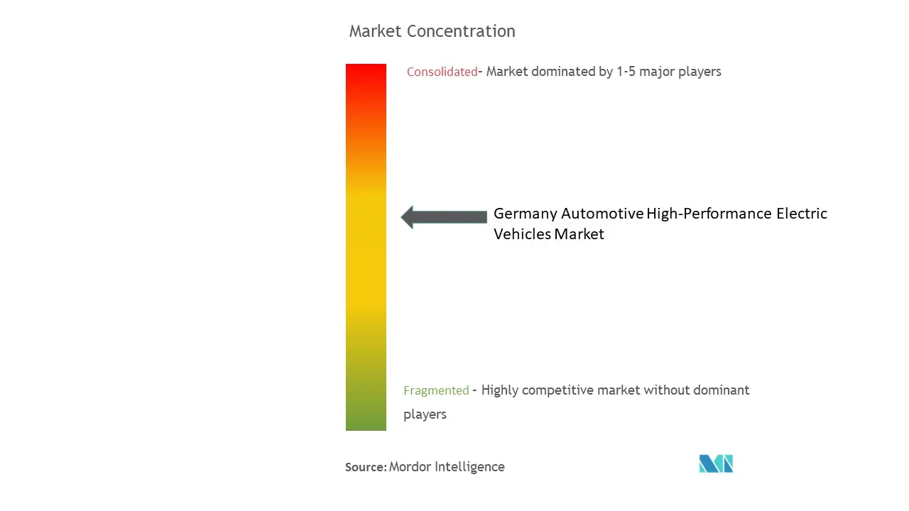 ドイツ自動車用高性能電気自動車市場の集中度