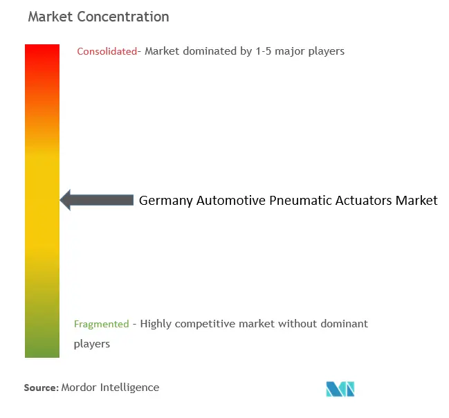Actuadores neumáticos automotrices de AlemaniaConcentración del Mercado