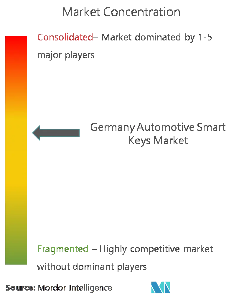 Clés intelligentes automobiles AllemagneConcentration du marché