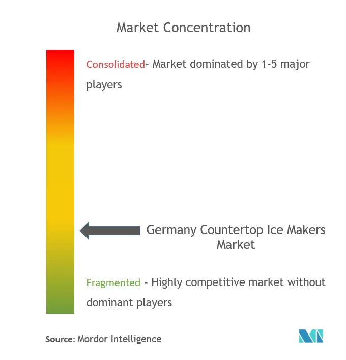 Germany Countertop Ice Makers Market Concentration