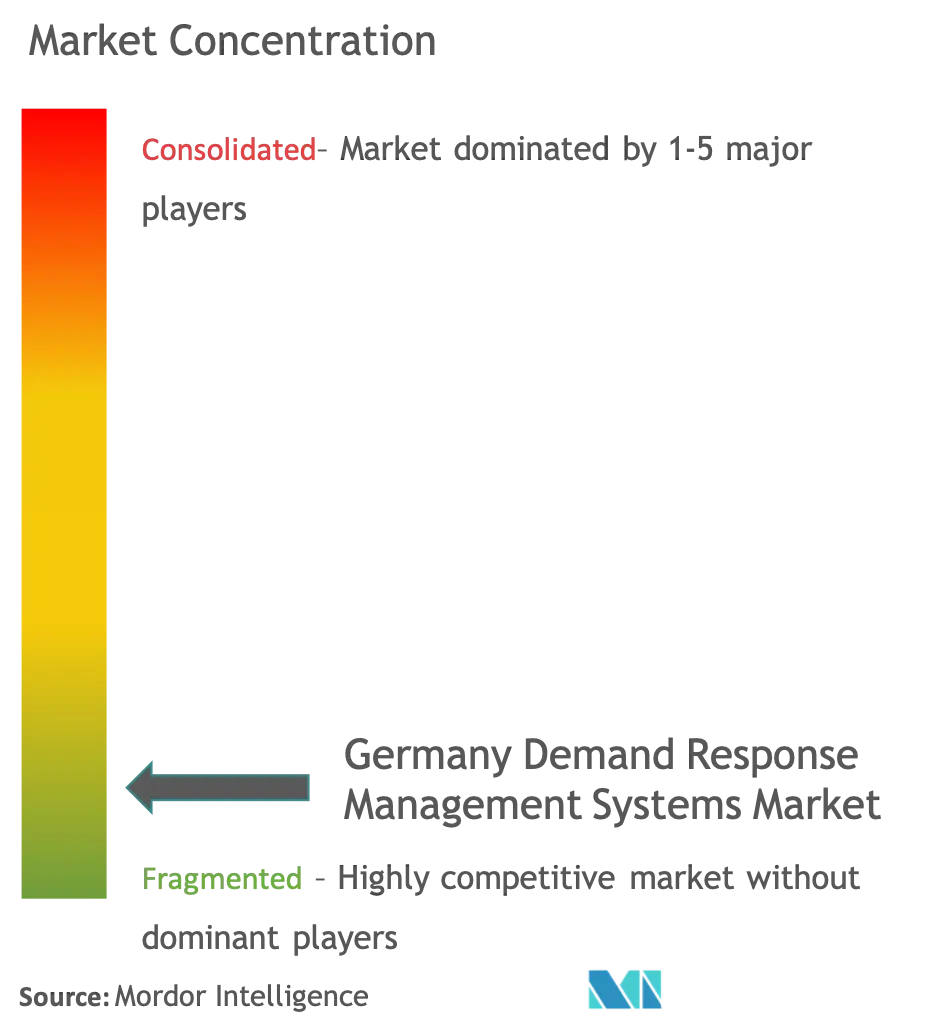 Germany Demand Response Management Systems Market - Market Concentration.png