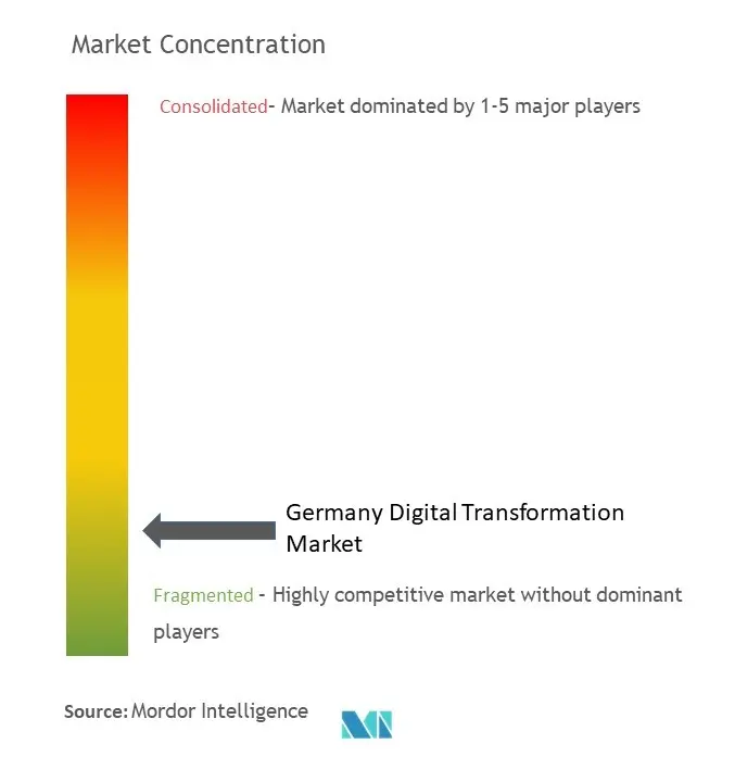 Germany Digital Transformation Market Concentration