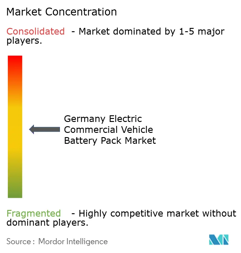 Germany Electric Commercial Vehicle Battery Pack Market