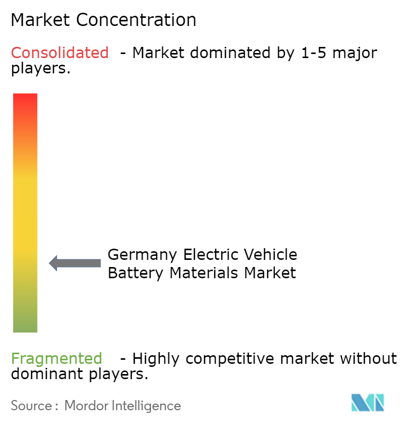 Germany Electric Vehicle Battery Materials Market Concentration