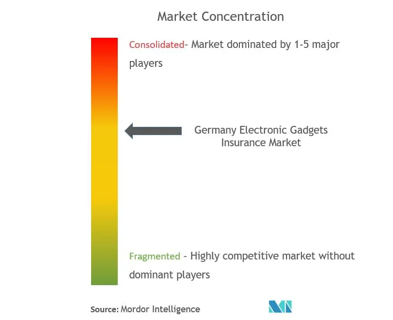 Germany Electronic Gadgets Insurance Market Concentration