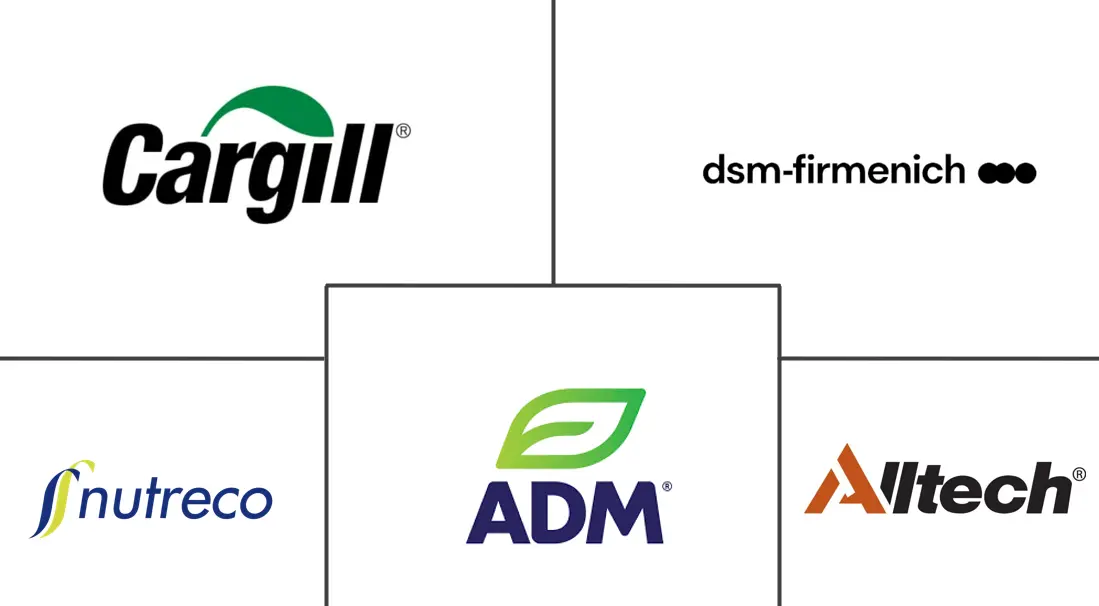 Germany Feed Additives Market Major Players