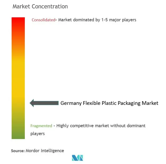 Germany Flexible Plastic Packaging Market Concentration