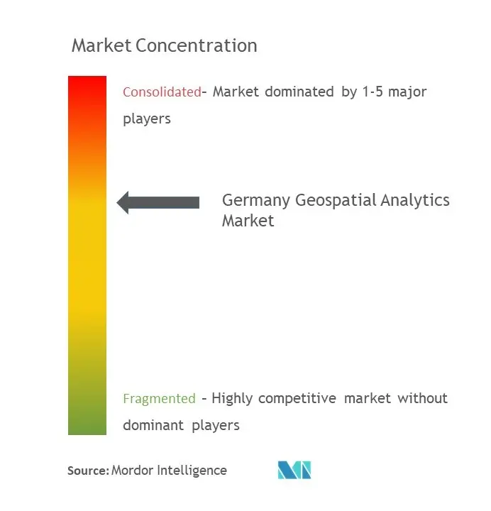 ドイツ地理空間分析市場の集中度
