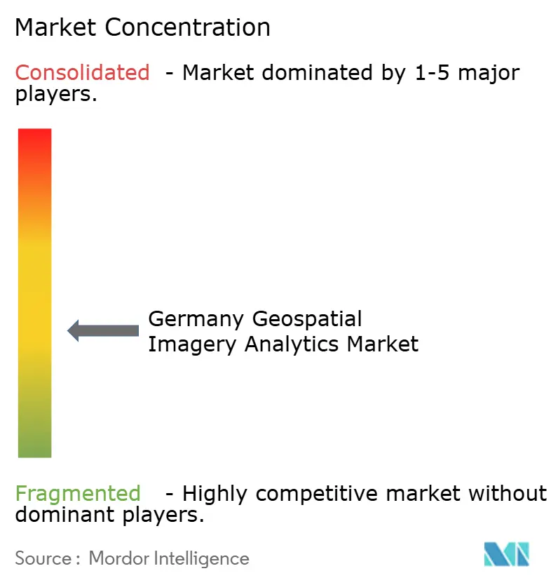 Germany Geospatial Imagery Analytics Market Concentration