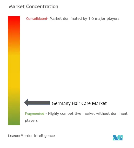 Cuidado del cabello en AlemaniaConcentración del Mercado