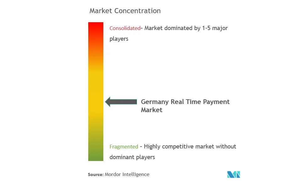 Germany Real Time Payments Market Concentration