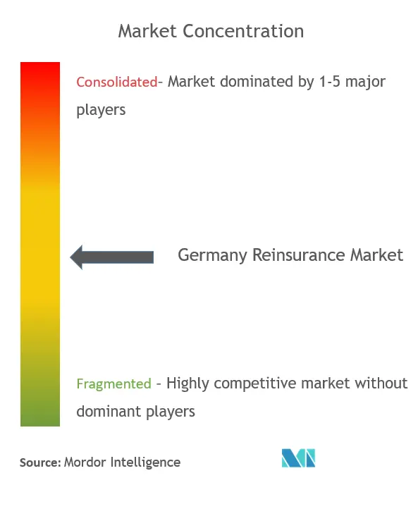 Germany Reinsurance Market Concentration