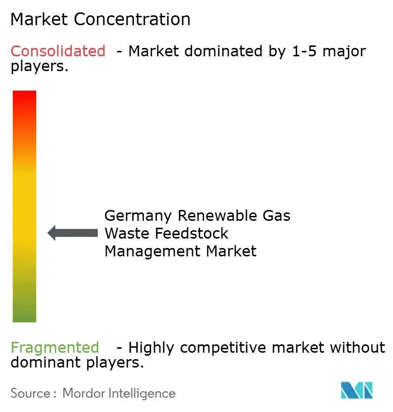 Germany Renewable Gas Waste Feedstock Management Market Concentration