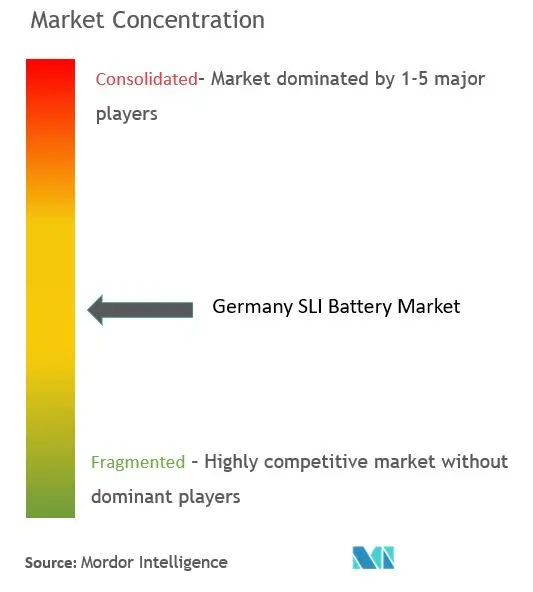 Germany SLI Battery Market Concentration