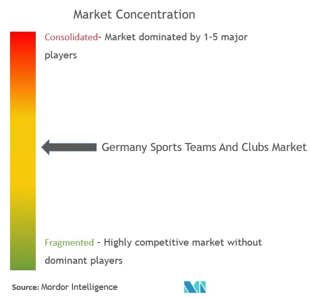 Germany Sports Teams And Clubs Market Concentration