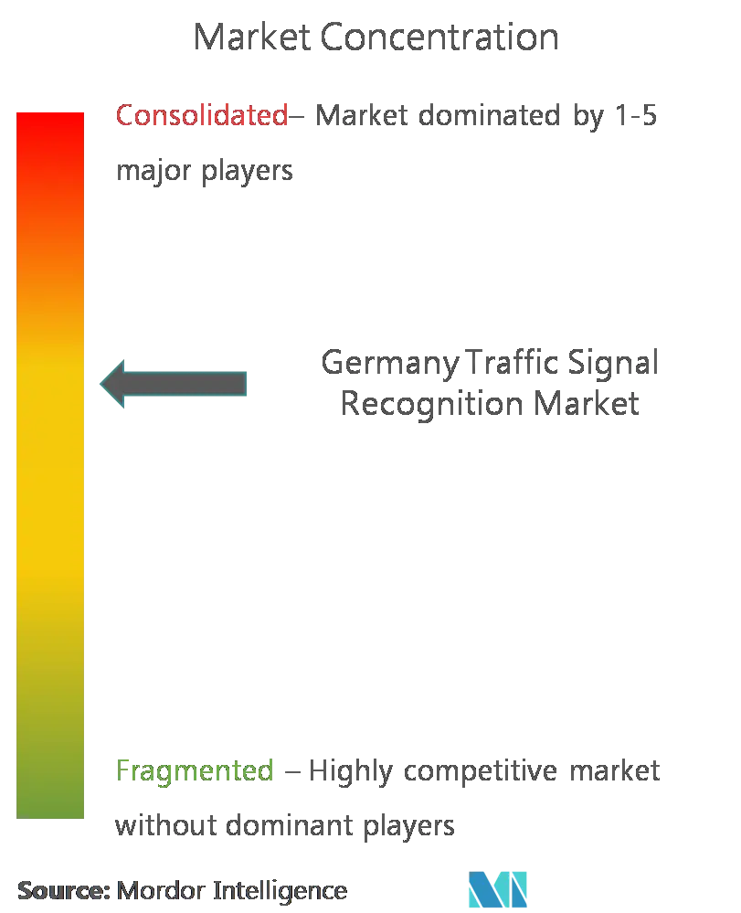 Robert Bosch Gmbh, DENSO Corporation, Continental AG, HELLA GmbH & Co. KGaA.