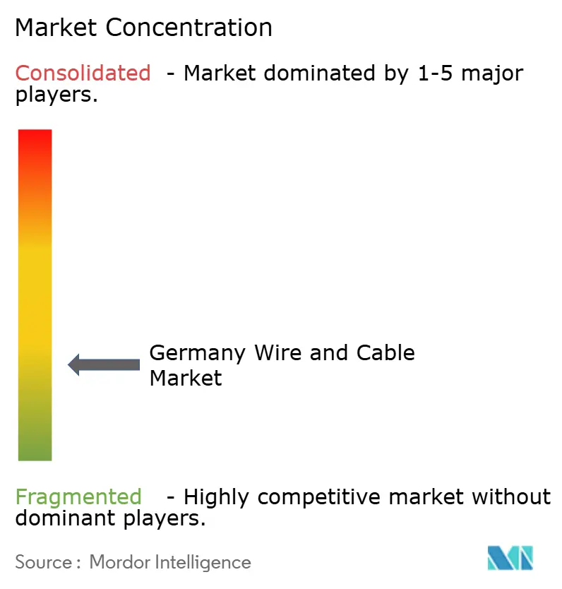 Germany Wire and Cable Market Concentration