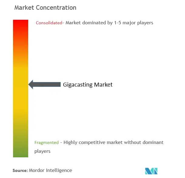 Gigacasting Market Concentration