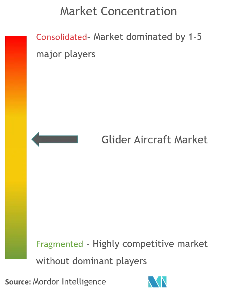 GLIDER AIRCRAFT MARKET CONCENTRATION.png