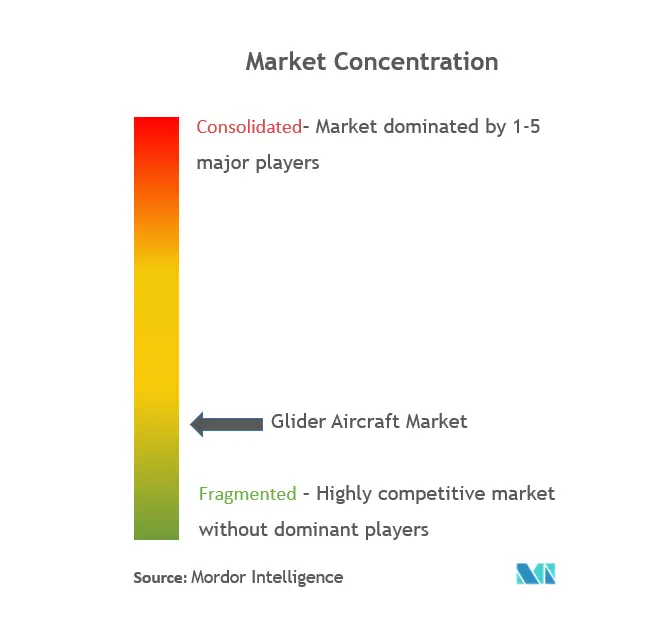 Concentração do mercado de aeronaves planadoras
