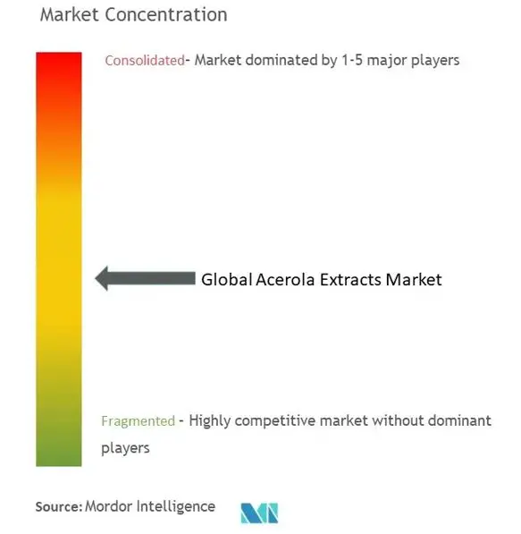 グローバルアセロラエキス市場集中度