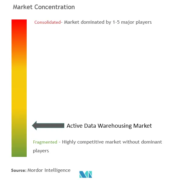 Active Data Warehousing Market Concentration