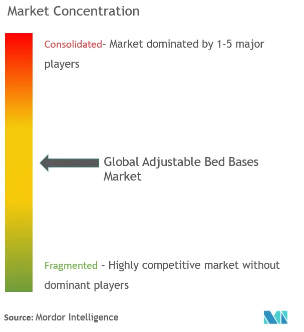Adjustable Bed Bases Market Concentration
