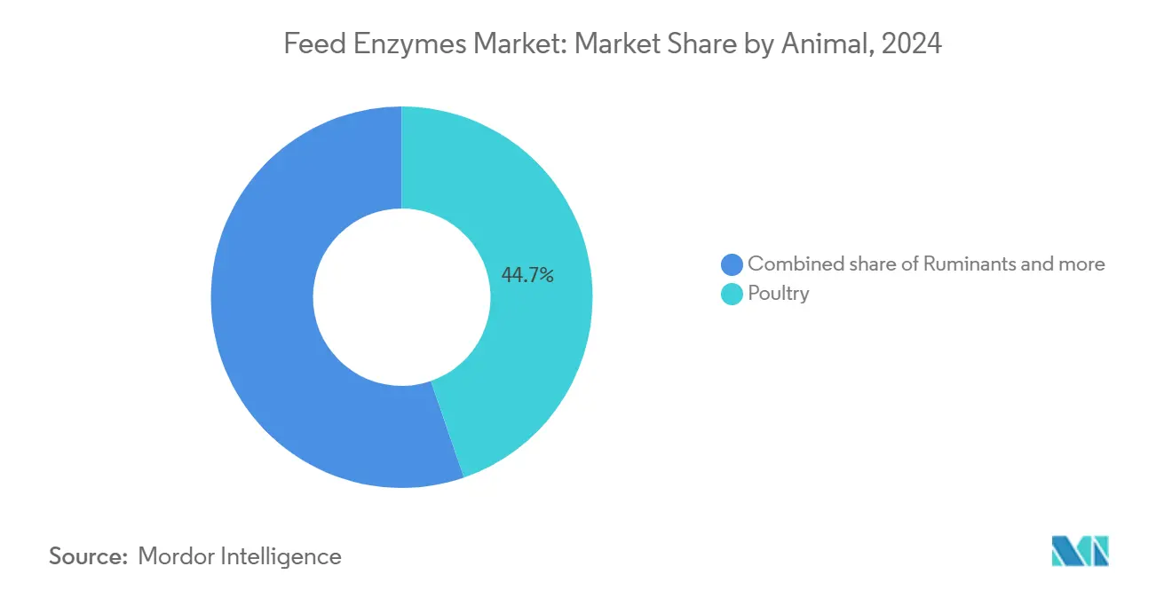 Feed Enzymes Market: Market Share by Animal